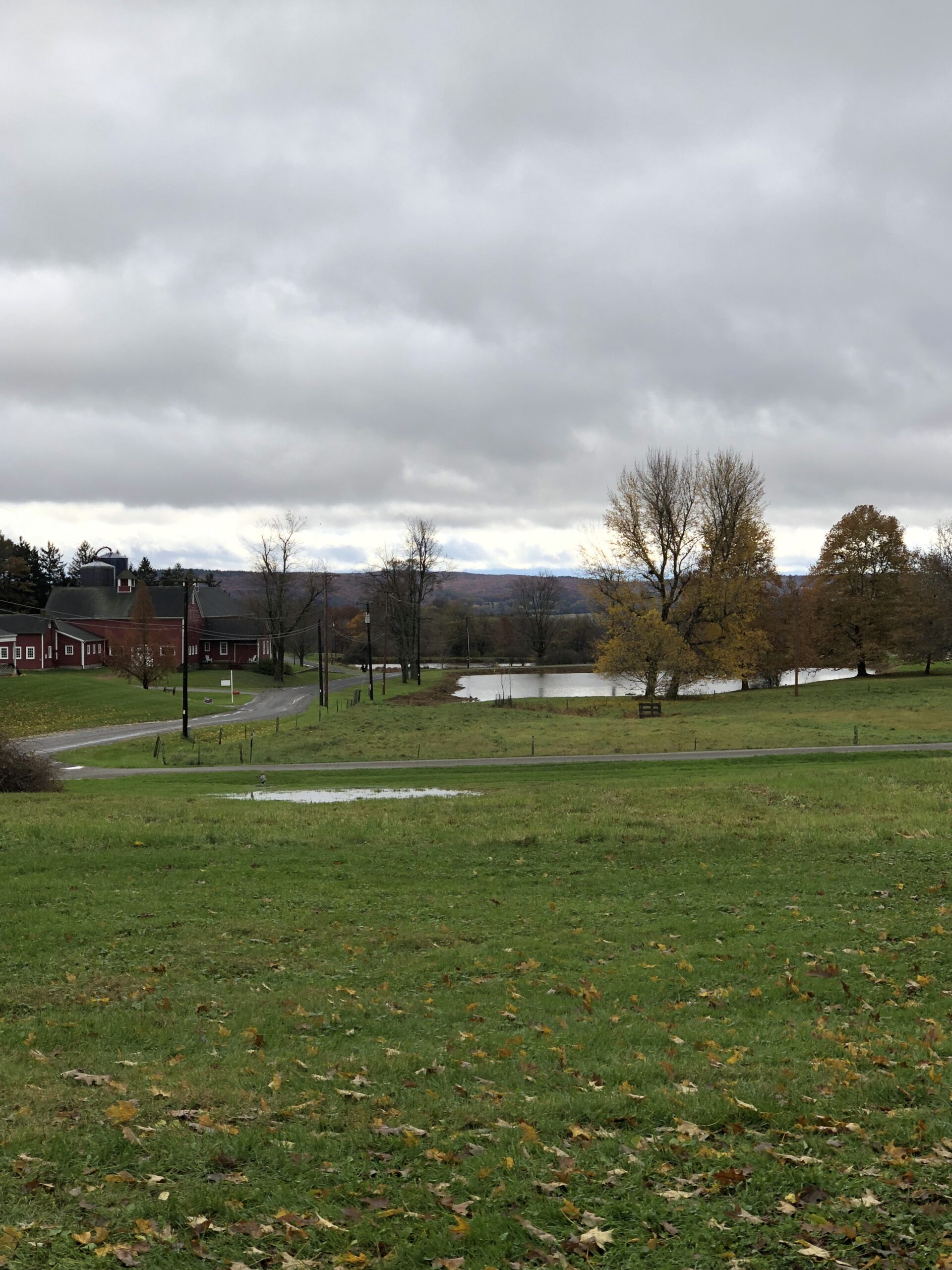 Pond in farm field