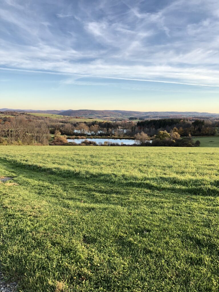 Vista with ponds and trees