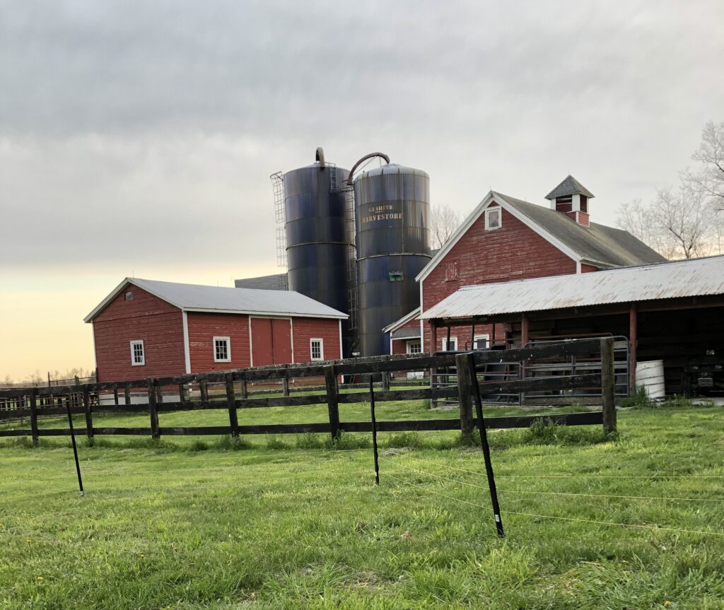 Farm Buildings Square