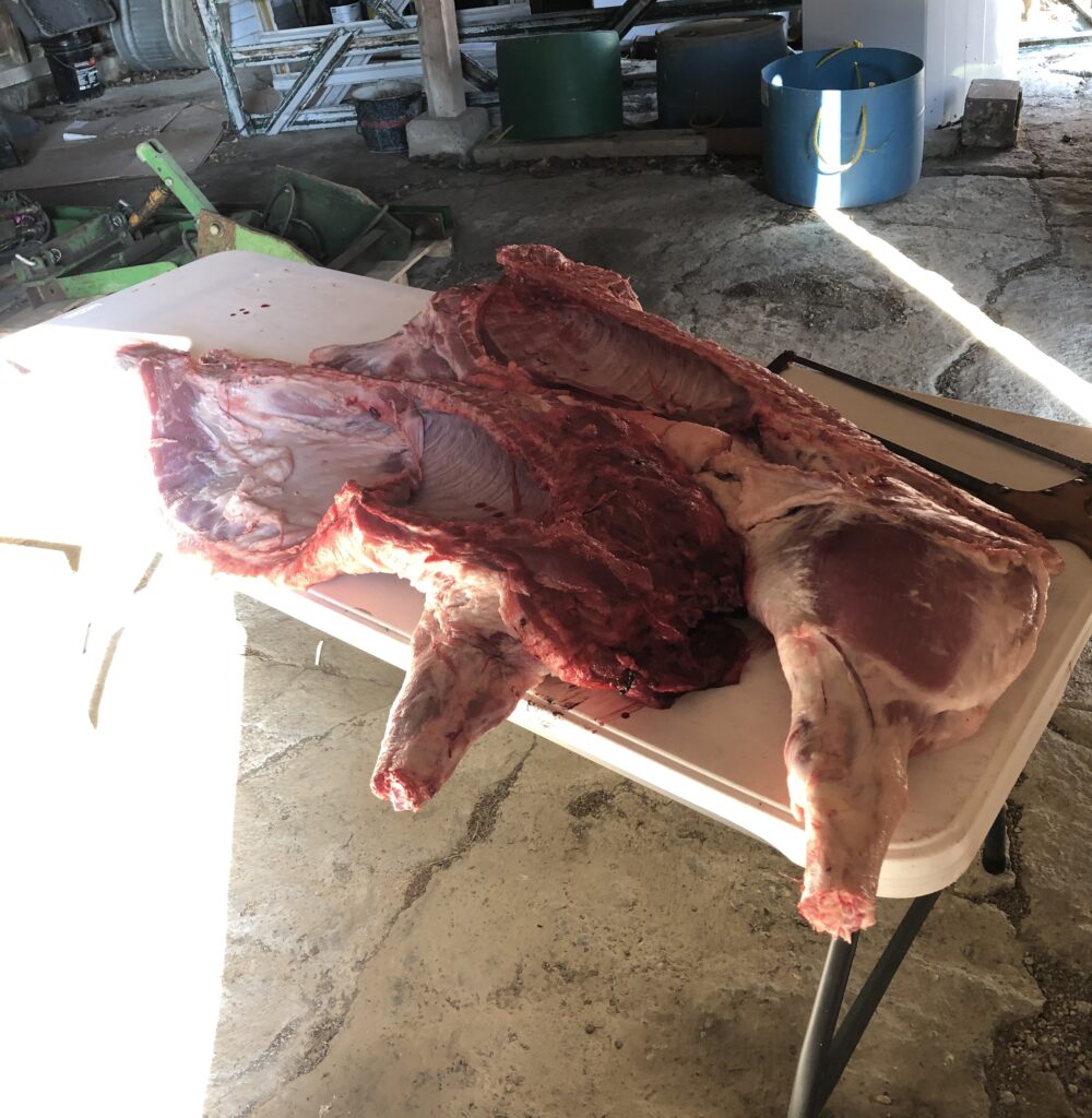 Quarters of a pig on table