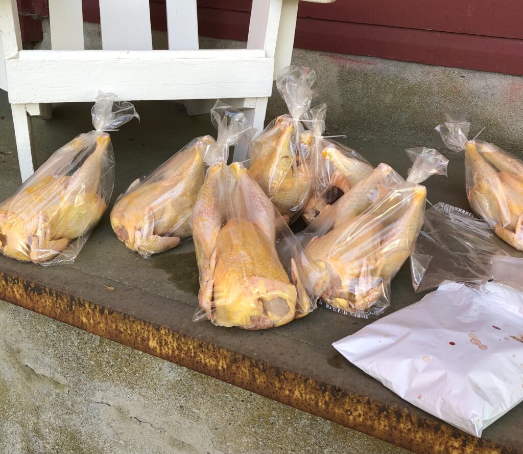 Chickens shrink-wrapped