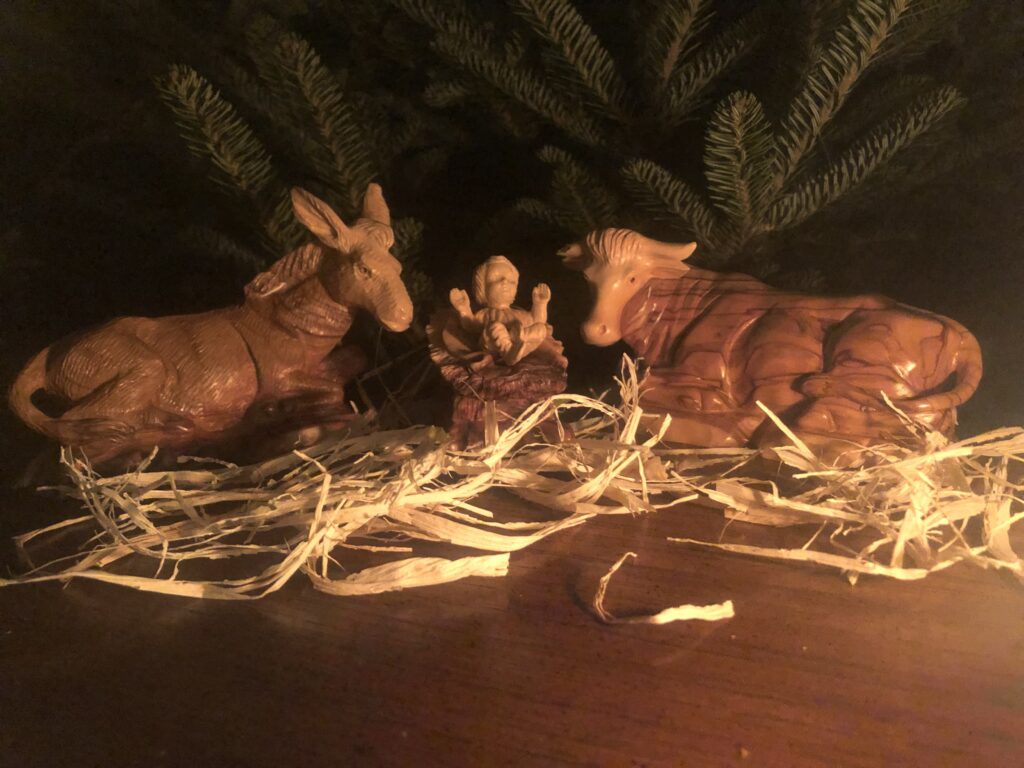 Ox and Ass at Manger