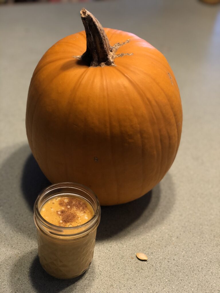 Raw Milk pumpkin smoothie with pumpkin