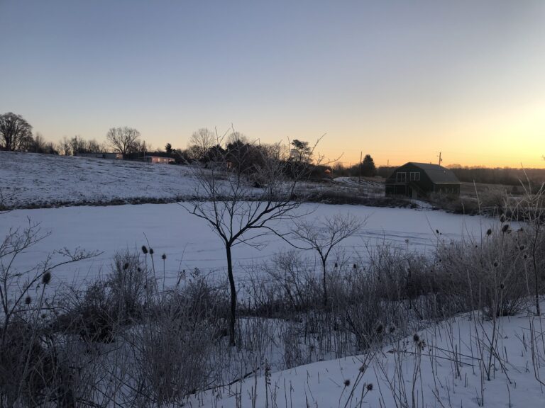 Frozen pond, barn, and trees in snow
