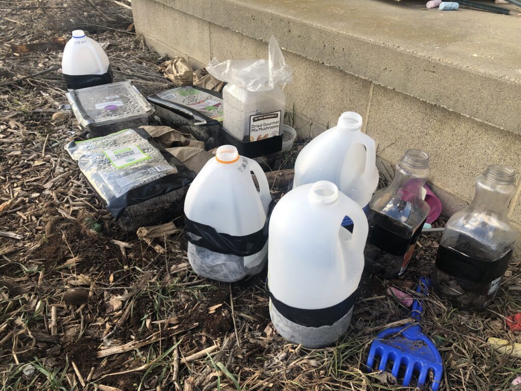 Winter sown seed containers