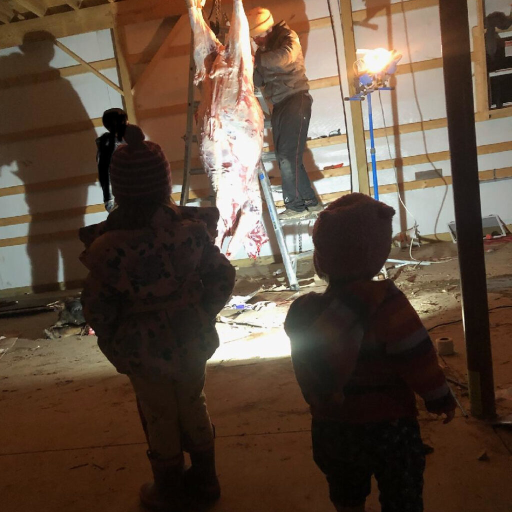 Children silhouettes in front of hanging carcass in barn