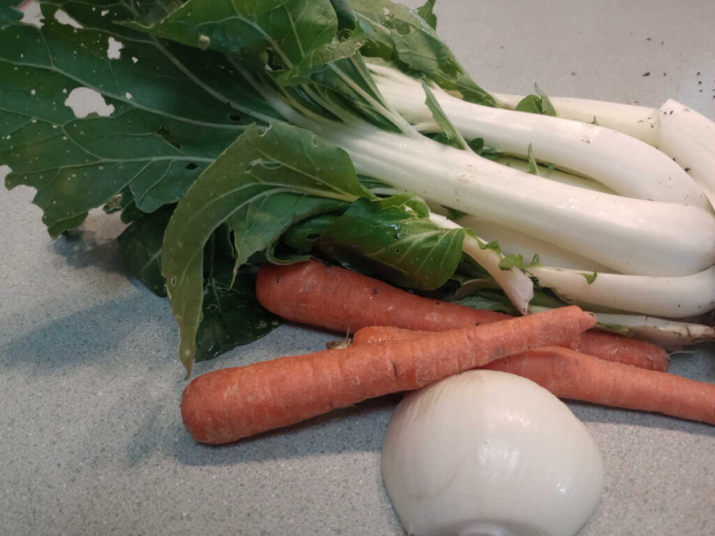 Bok choy, three carrots, and half an onion
