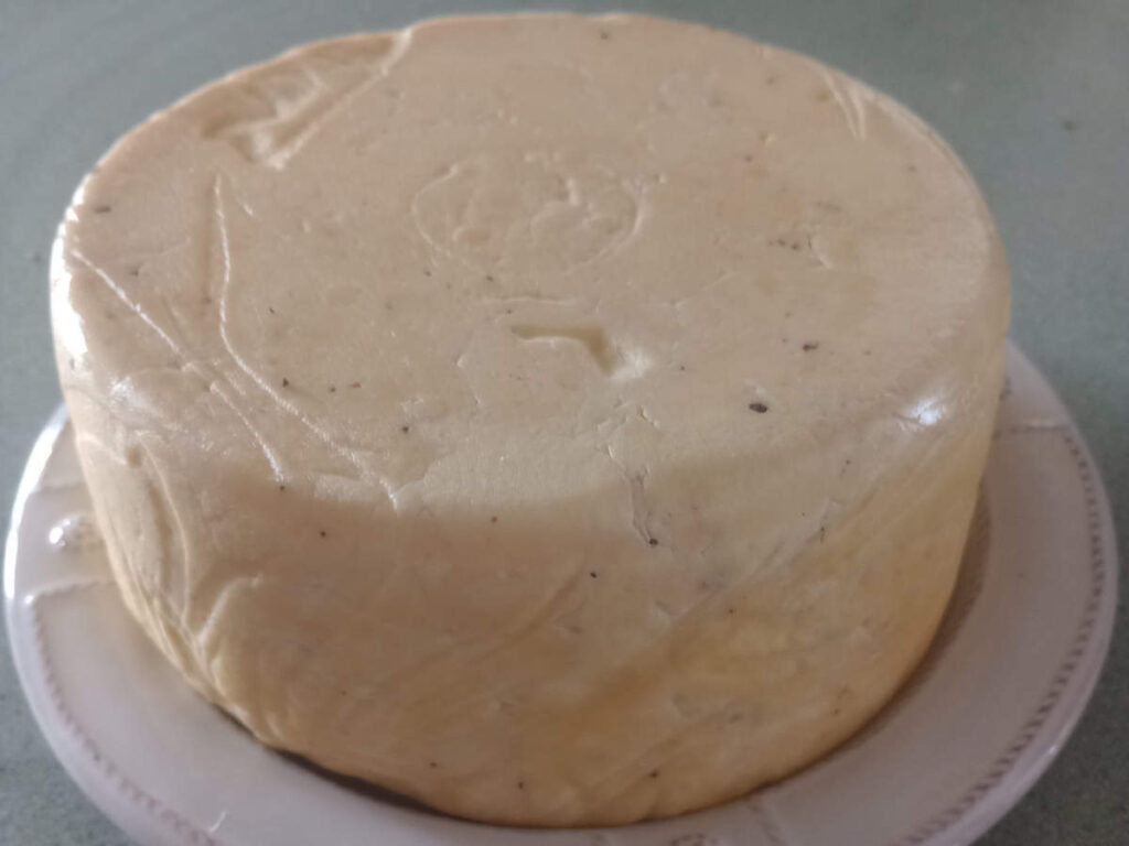 Freshly made wheel of cheddar.