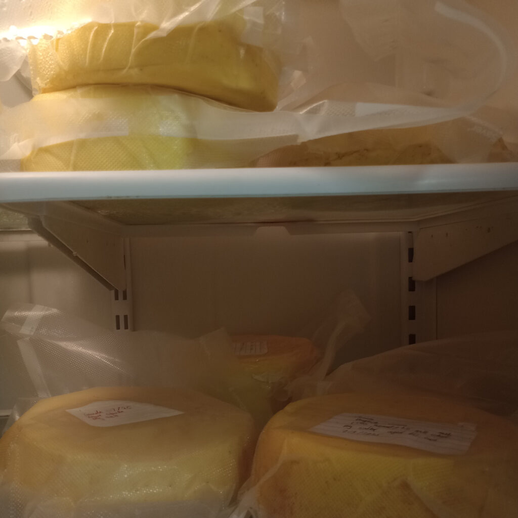 Cheeses vacuumed sealed and stored in refrigerator