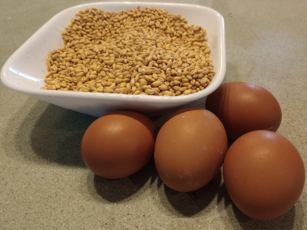 Eggs and whole wheat grains
